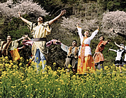 菜の花舞台